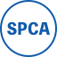 Certificate Icon